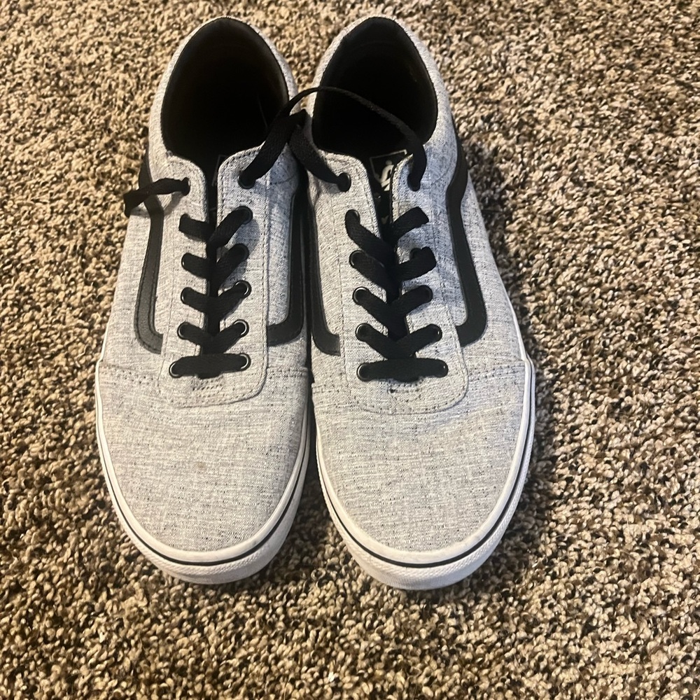 Vans Skate Shoes